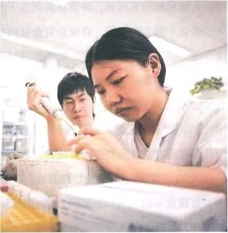 财务审计、工程造价、记帐报税、资产评估、地方政府专项债
